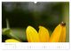 Thumbnail-14