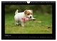 Thumbnail-10