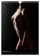 Thumbnail-11