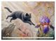 Thumbnail-3