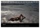 Thumbnail-12