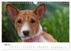 Thumbnail-10