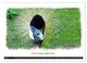 Thumbnail-9