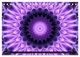 Thumbnail-10