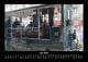 Thumbnail-11