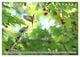 Thumbnail-11