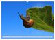 Thumbnail-12