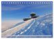 Thumbnail-7