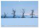 Thumbnail-11