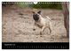 Thumbnail-14