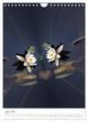Thumbnail-11