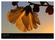 Thumbnail-10
