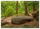 Thumbnail-12