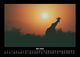 Thumbnail-9
