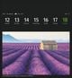 Thumbnail-9