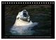 Thumbnail-9