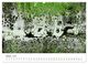 Thumbnail-11