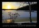 Thumbnail-10