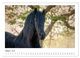 Thumbnail-12