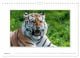 Thumbnail-10