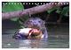 Thumbnail-14
