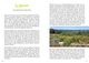 Thumbnail-9