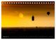 Thumbnail-14