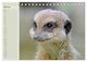 Thumbnail-9
