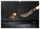 Thumbnail-9