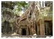 Thumbnail-11