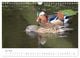 Thumbnail-10