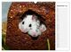 Thumbnail-11