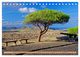 Thumbnail-14