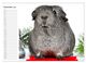 Thumbnail-14