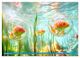 Thumbnail-11