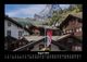 Thumbnail-12