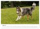 Thumbnail-8