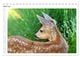 Thumbnail-9