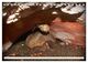 Thumbnail-13
