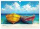 Thumbnail-12