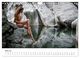 Thumbnail-10