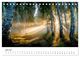 Thumbnail-11