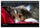 Thumbnail-12