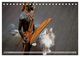 Thumbnail-10