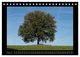 Thumbnail-10