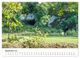Thumbnail-11