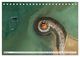 Thumbnail-10