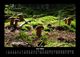 Thumbnail-10