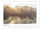 Thumbnail-14