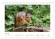 Thumbnail-11